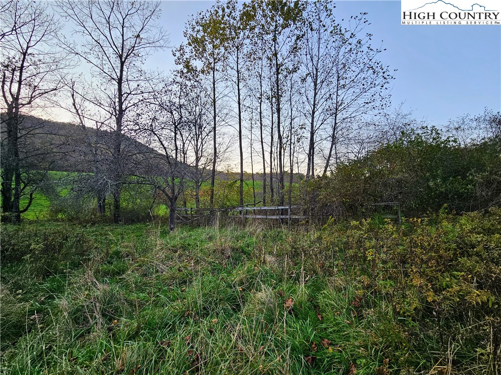 440 Zion Methodist Church Road Todd, NC 28684 - Photo 17 of 23 Gallery Image 17