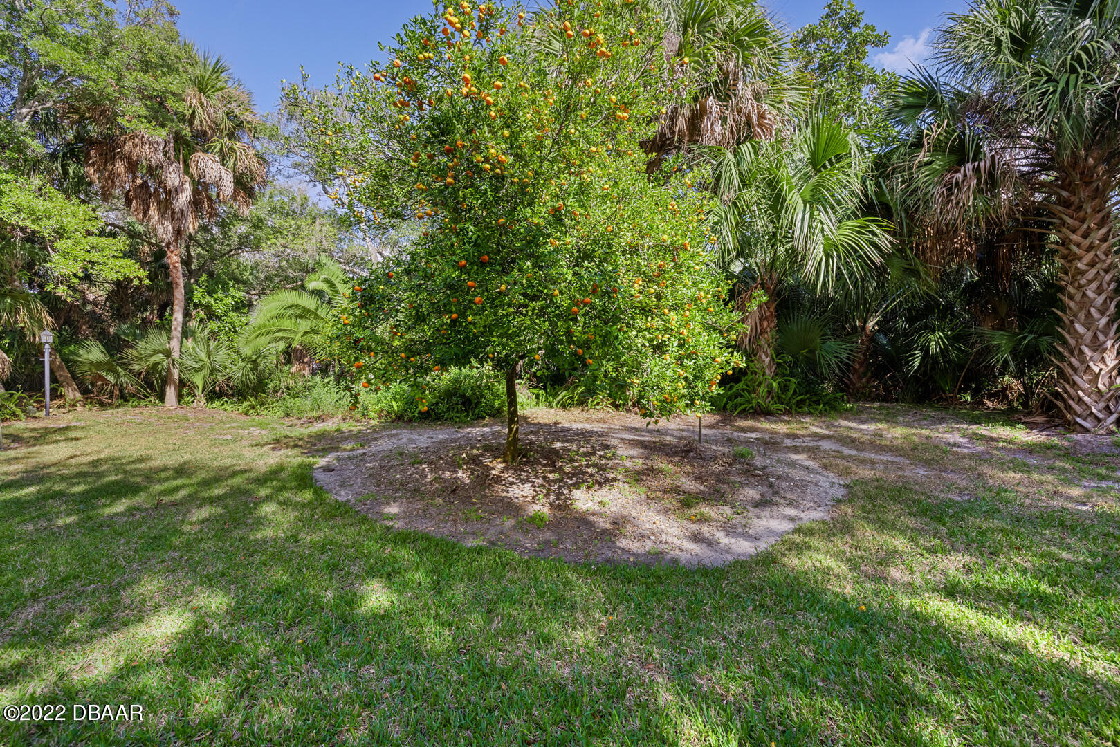 331 Riverside Drive Ormond Beach, FL 32176 - Photo 44 of 44 331 RIVERSIDE DR ORMOND - EXTERIOR-12