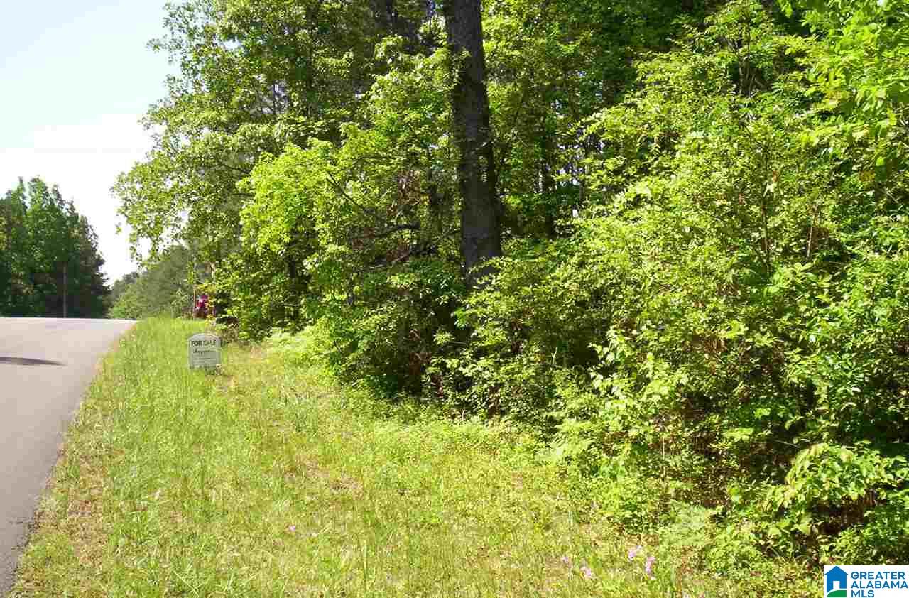 Old Pineywoods Road, Unit 1 6 Jasper, AL 35504 - Photo 2 of 5