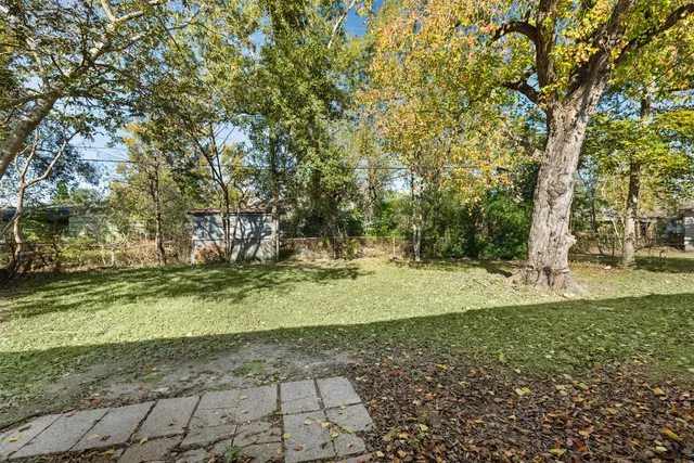 a house with a tree in front of it