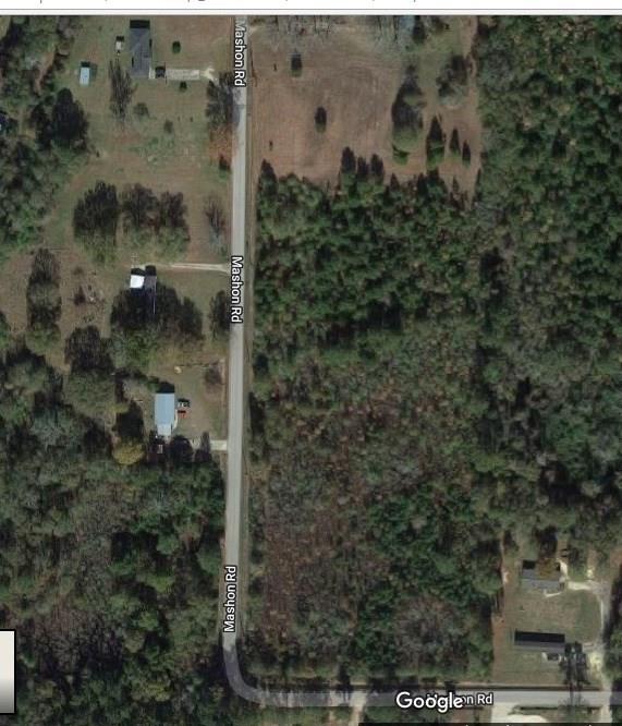 8-acres Mashon Road Independence, LA 70443 - Photo 1 of 2 Gallery Image 1