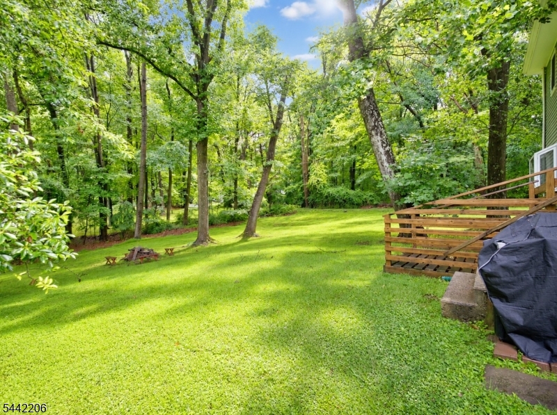 123 Mt Grove Road Califon, NJ 07830 - Photo 32 of 33