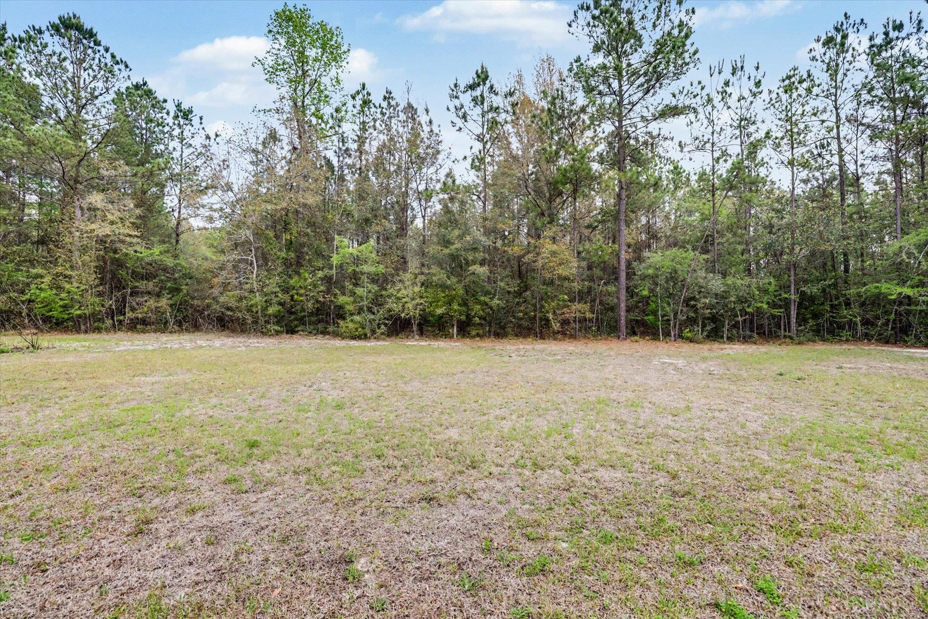 294 Elm Ridge Loop Crawfordville, FL 32327 - Photo 42 of 49 Gallery Image 42