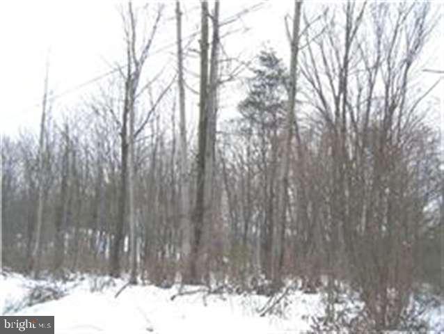 Gallery Image 6