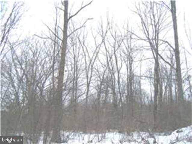 Gallery Image 7
