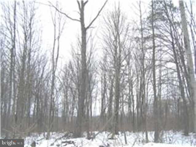 Lot 1 Orchard Road Newport, PA 17074 - Photo 8 of 10 Gallery Image 8