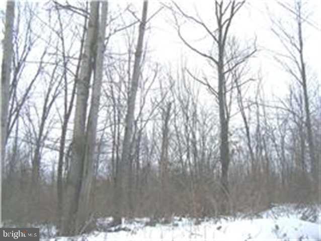 Lot 1 Orchard Road Newport, PA 17074 - Photo 9 of 10 Gallery Image 9