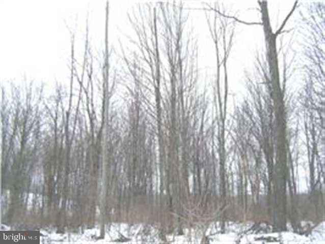 Lot 1 Orchard Road Newport, PA 17074 - Photo 10 of 10 Gallery Image 10