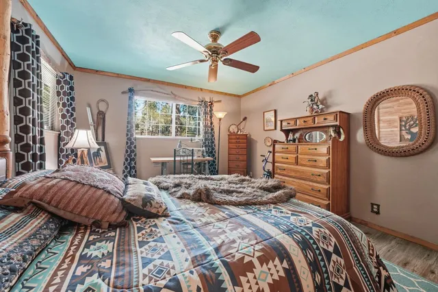 a view of a yard with plants and large trees