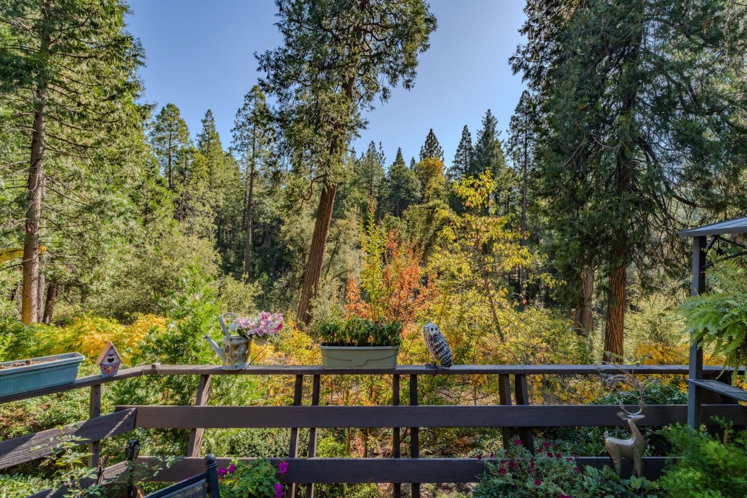 23140 Shake Ridge Road Volcano, CA 95689 - Photo 55 of 81