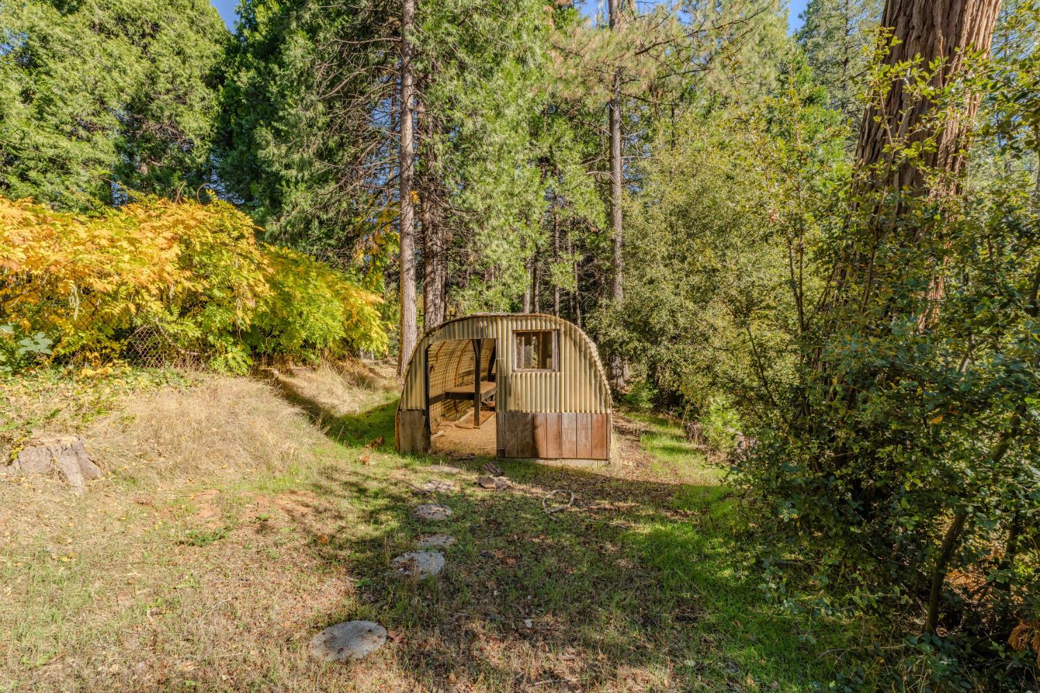 23140 Shake Ridge Road Volcano, CA 95689 - Photo 60 of 81 a view of a yard with large trees