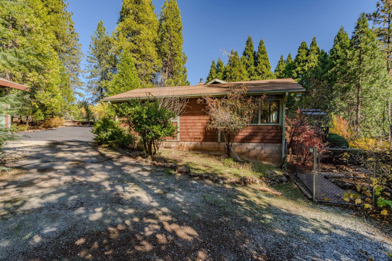 23140 Shake Ridge Road Volcano, CA 95689 - Photo 6 of 81 a view of a patio with table and chairs under an umbrella