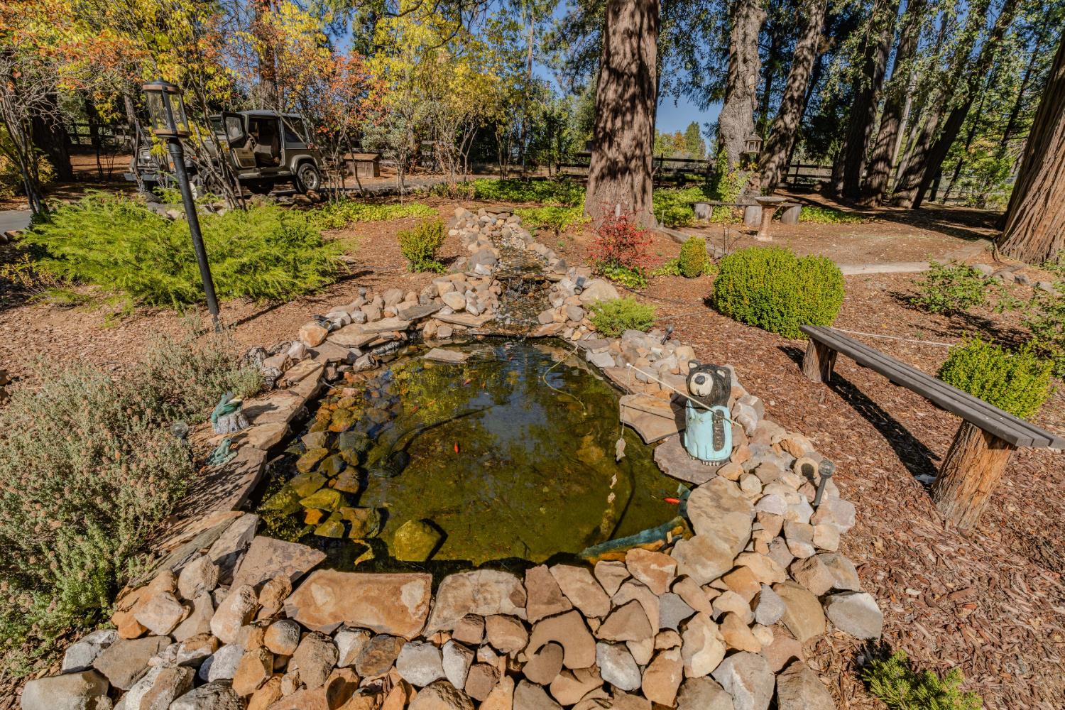 23140 Shake Ridge Road Volcano, CA 95689 - Photo 63 of 81