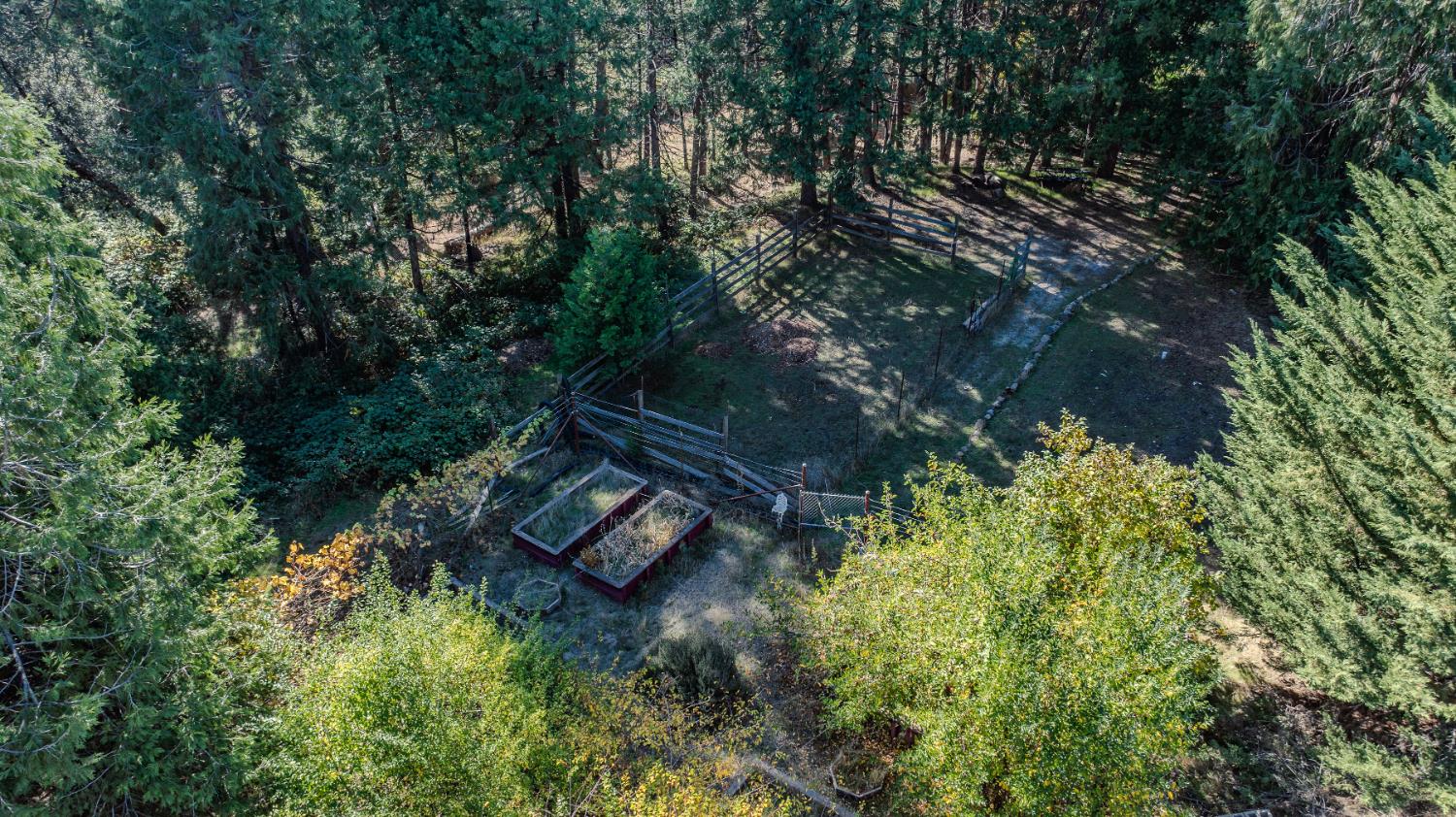 23140 Shake Ridge Road Volcano, CA 95689 - Photo 81 of 81 a view of a house with a yard