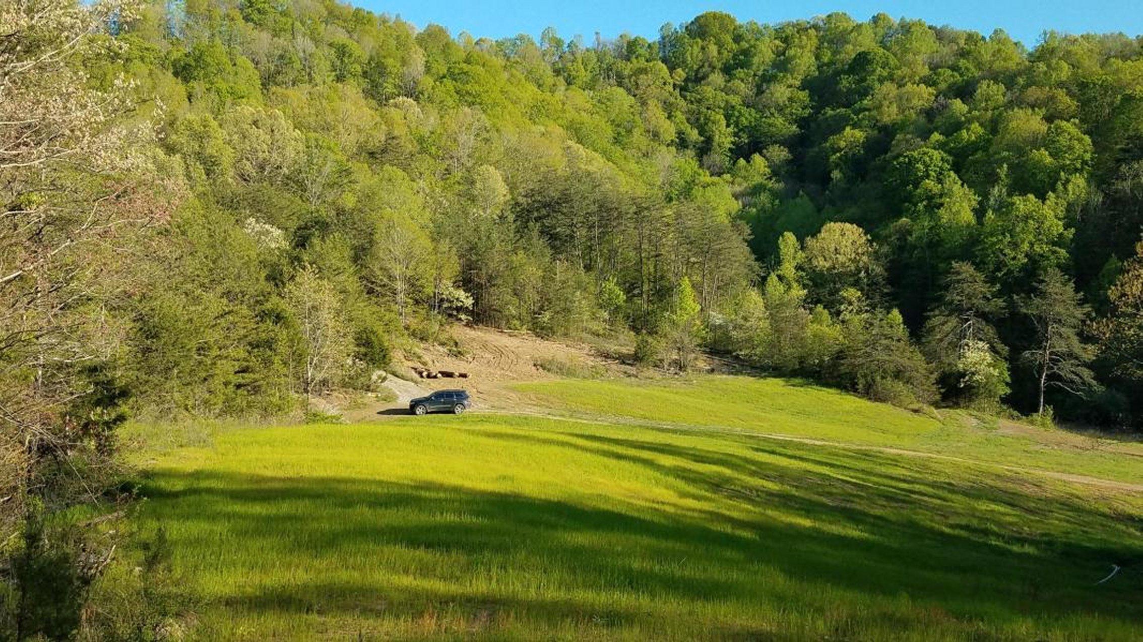 0 Raven Hill Road Tazewell, TN 37879 - Photo 2 of 25 2