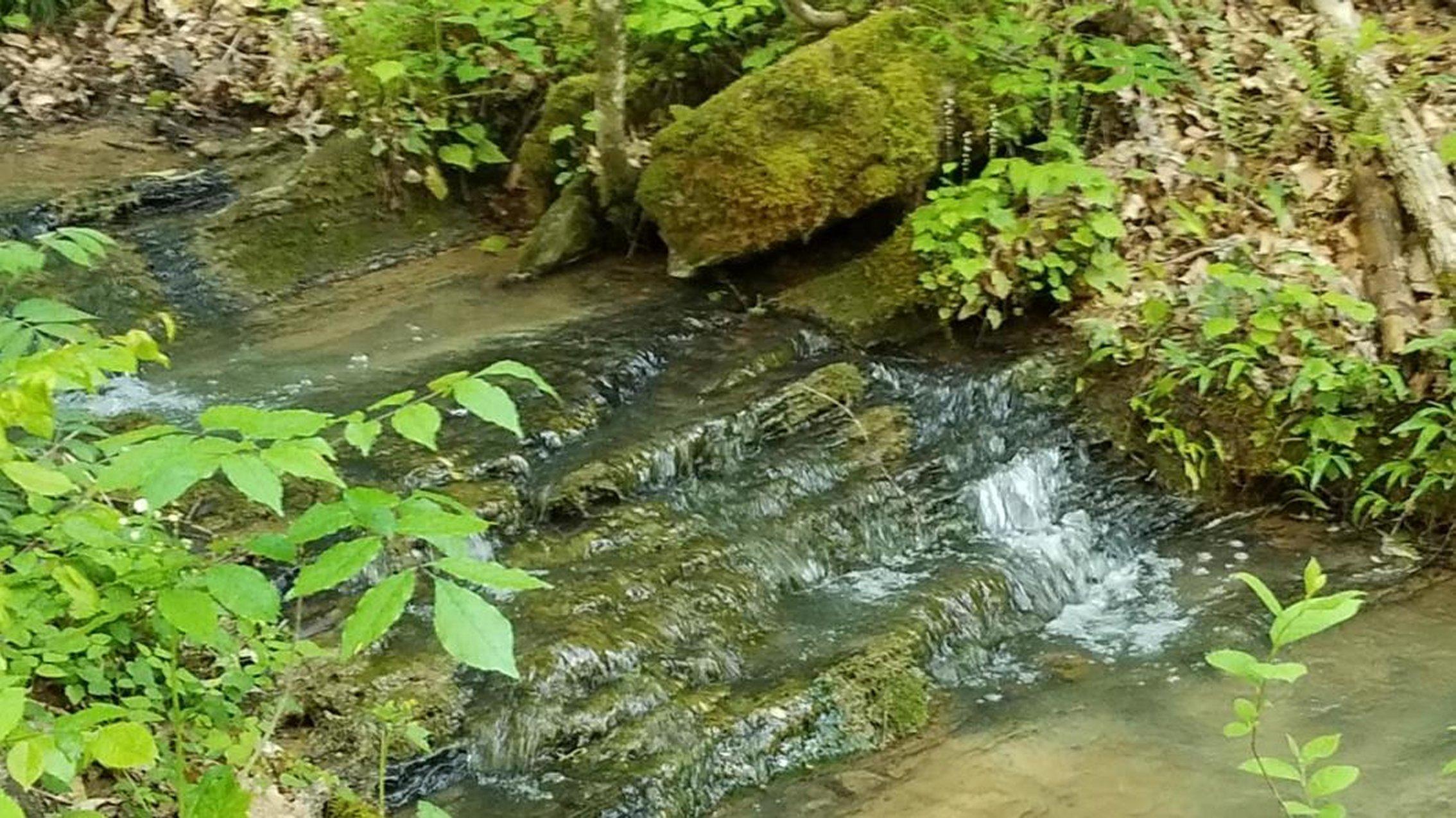 0 Raven Hill Road Tazewell, TN 37879 - Photo 15 of 25 15