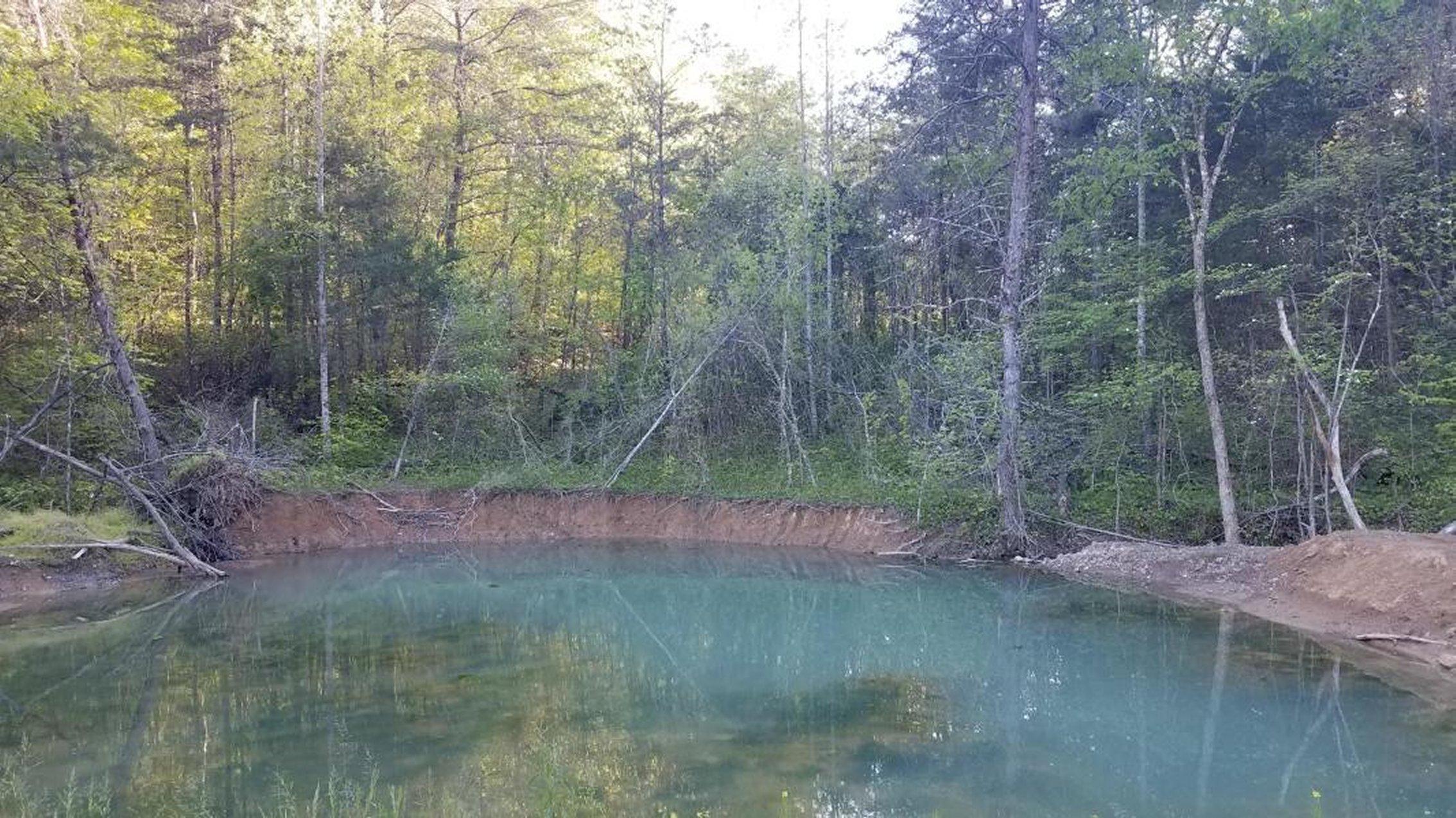 0 Raven Hill Road Tazewell, TN 37879 - Photo 19 of 25 19