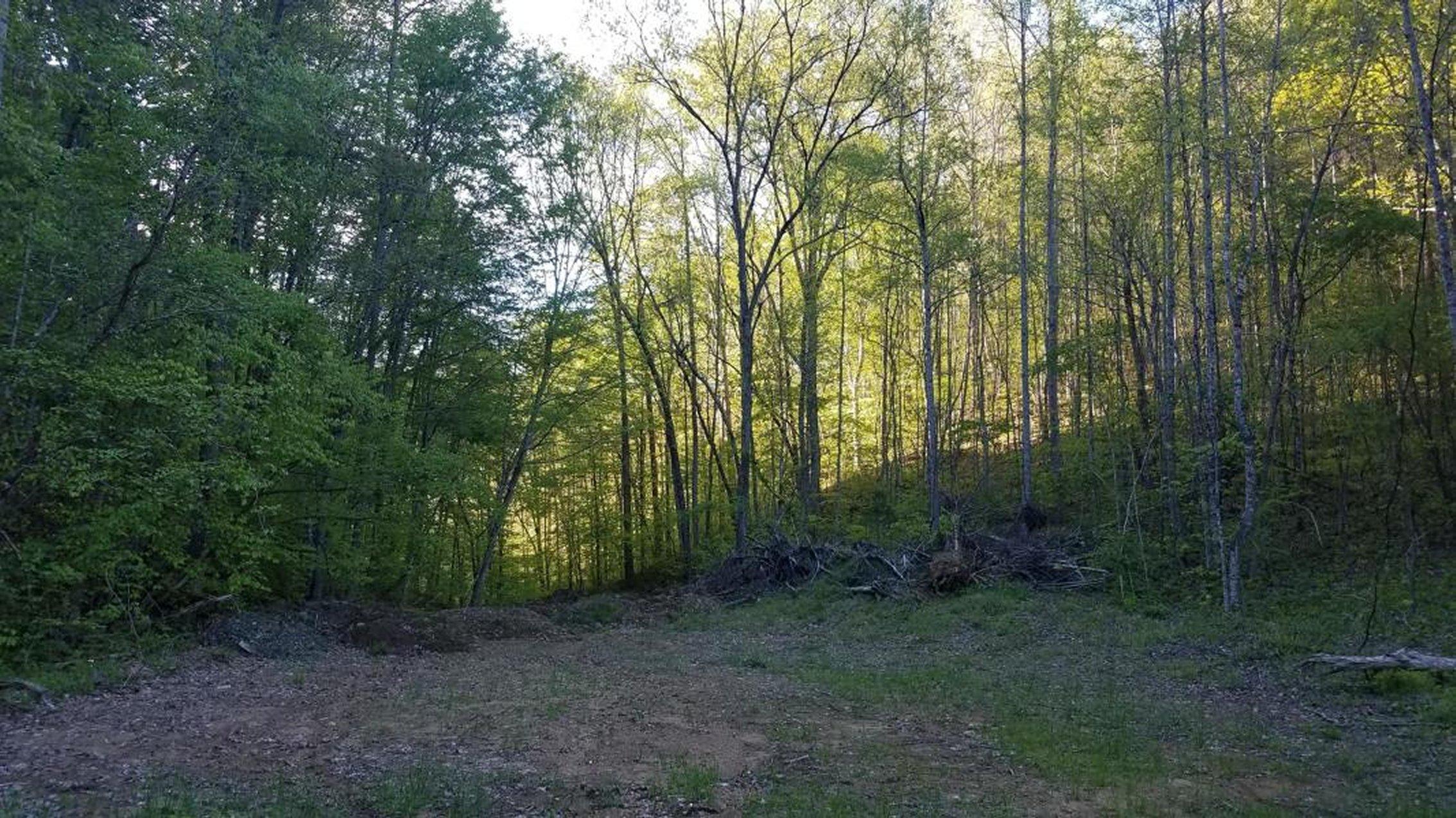 0 Raven Hill Road Tazewell, TN 37879 - Photo 21 of 25 21
