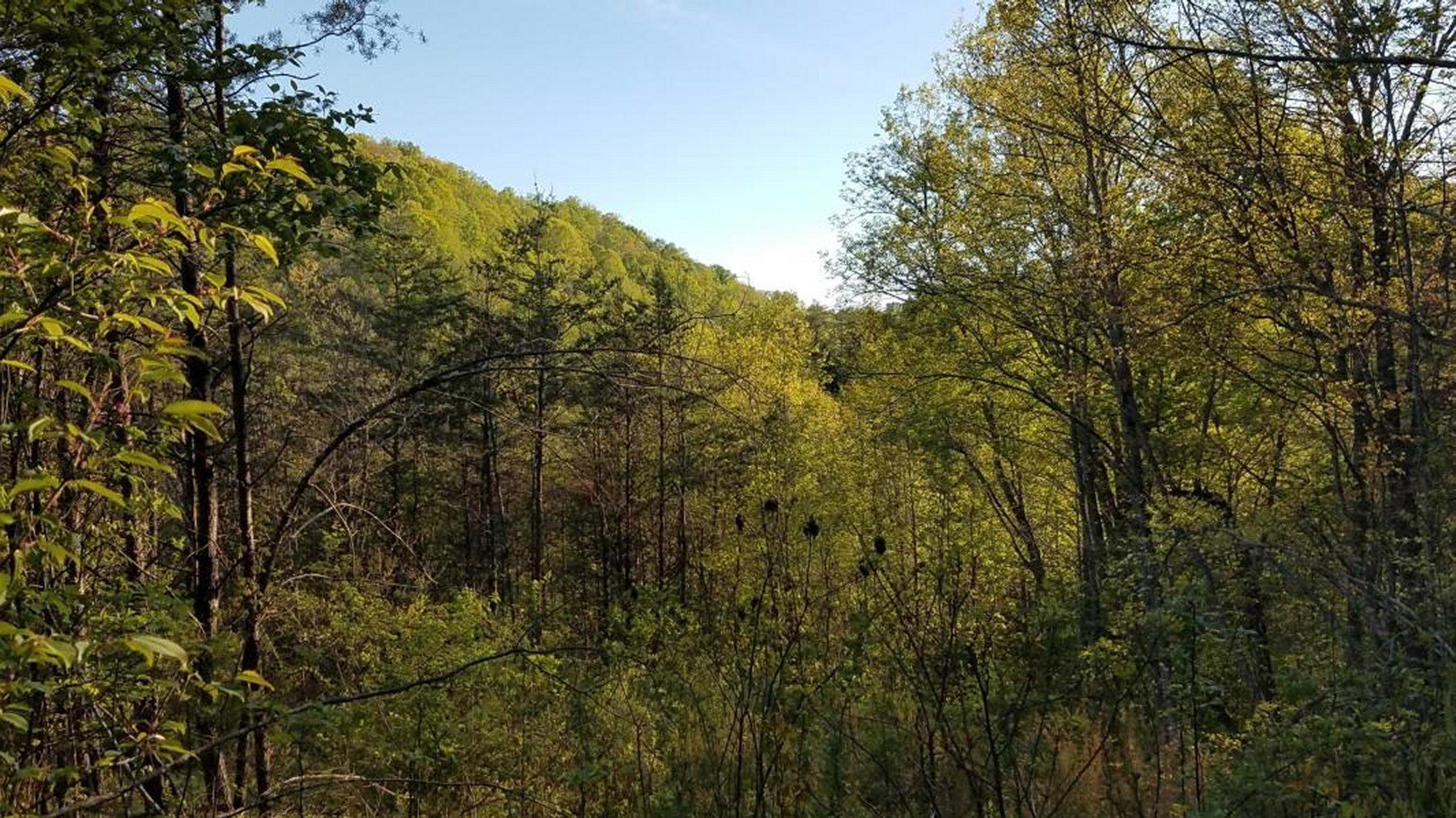 0 Raven Hill Road Tazewell, TN 37879 - Photo 22 of 25 22