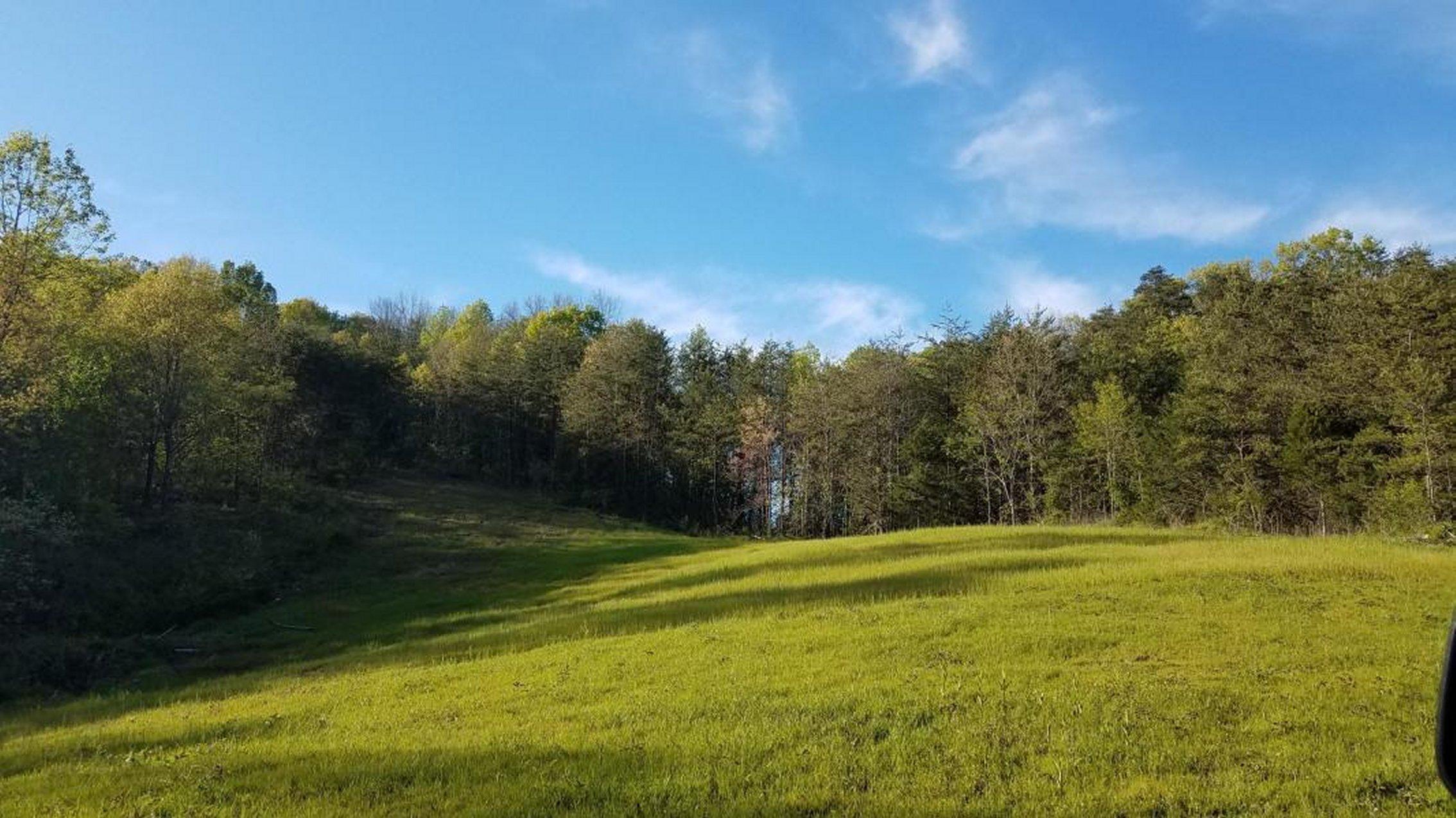 0 Raven Hill Road Tazewell, TN 37879 - Photo 4 of 25 4
