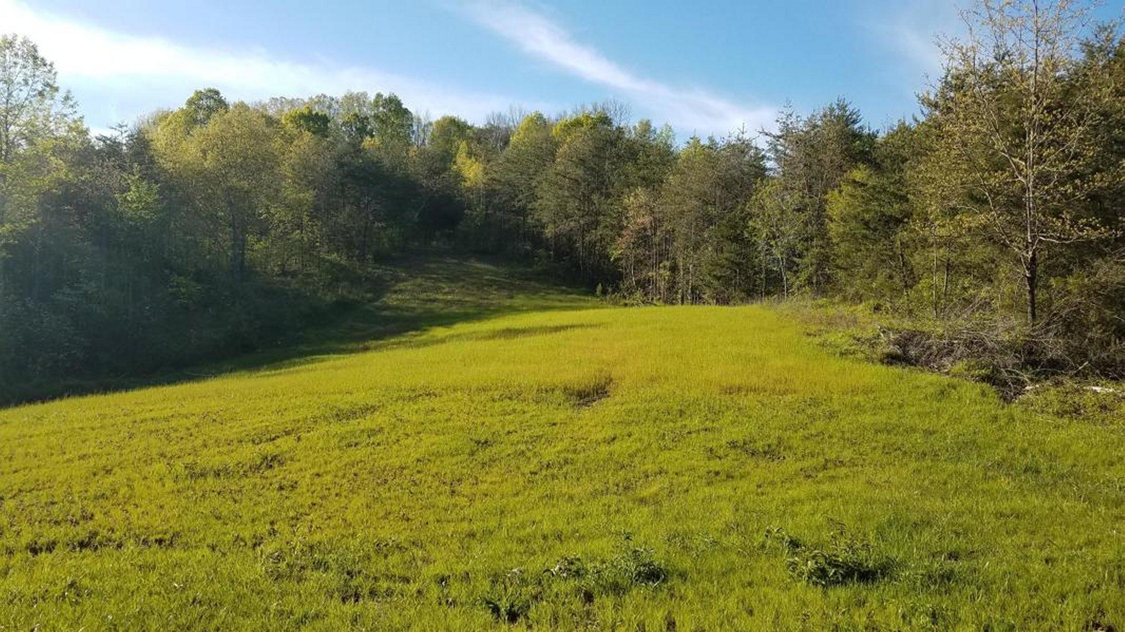 0 Raven Hill Road Tazewell, TN 37879 - Photo 5 of 25 5
