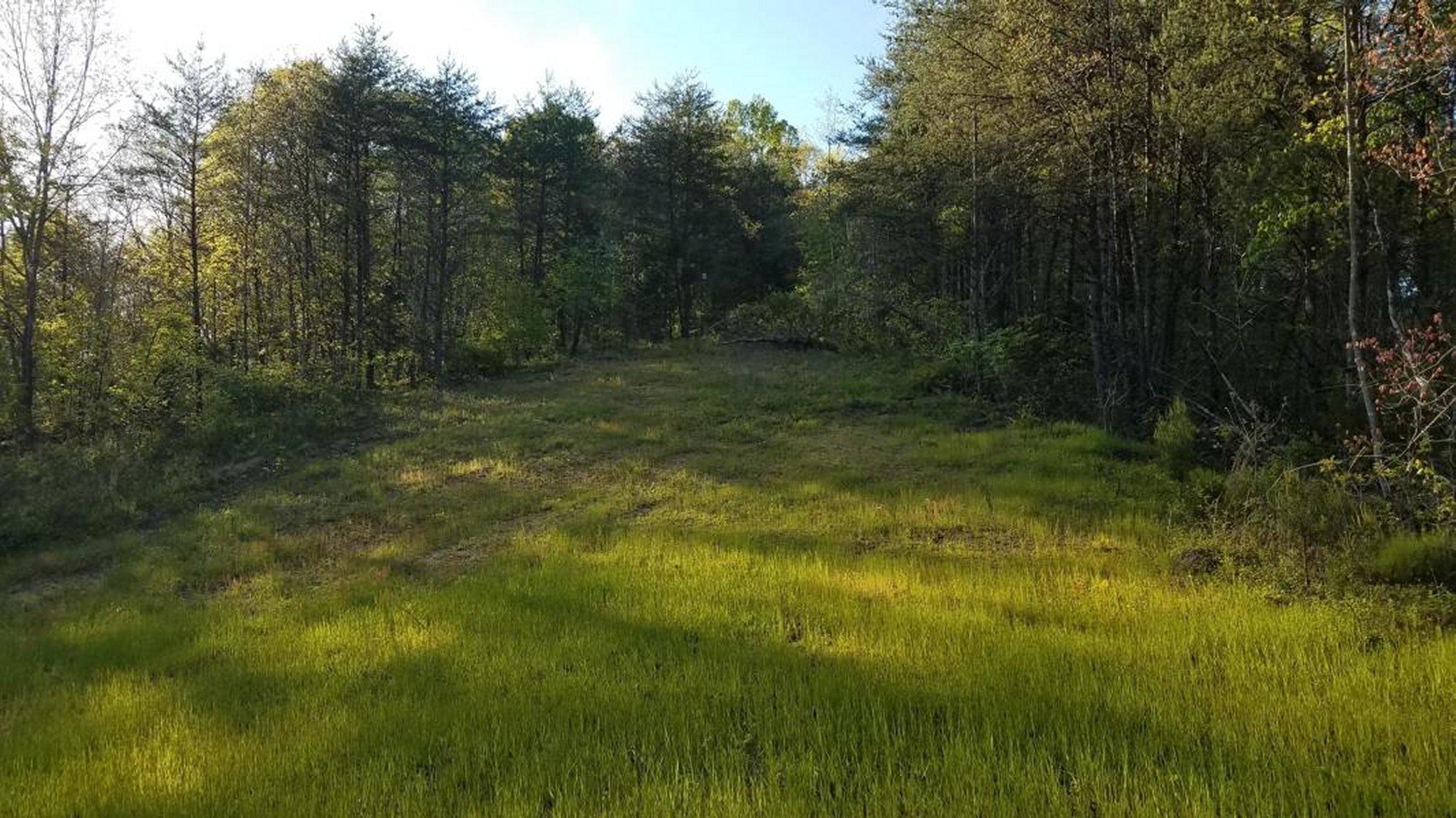 0 Raven Hill Road Tazewell, TN 37879 - Photo 8 of 25 8
