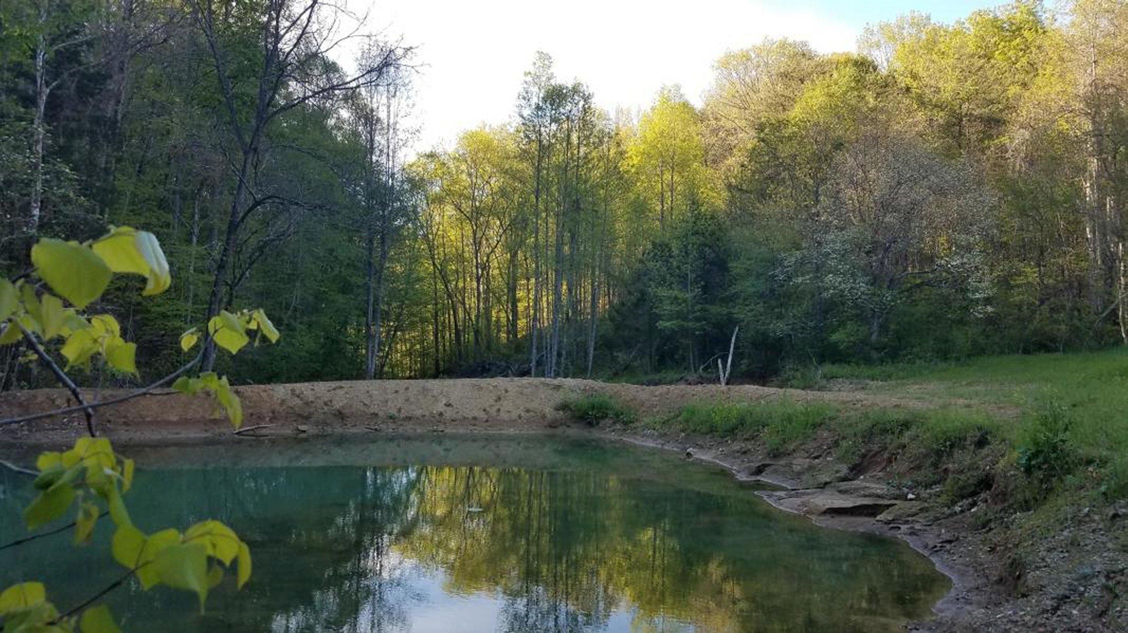 0 Raven Hill Road Tazewell, TN 37879 - Photo 10 of 25 10