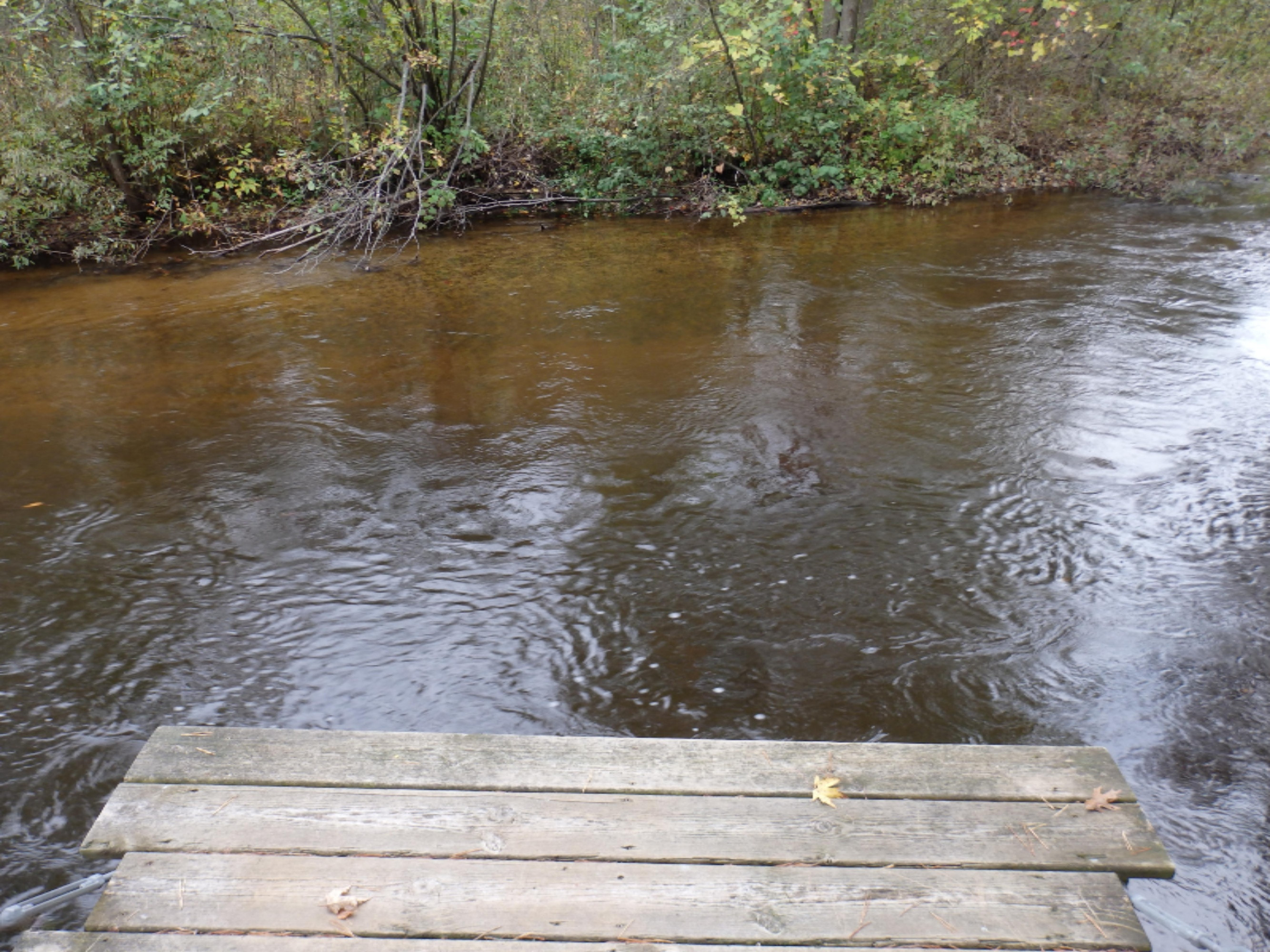 12600 Milks Road Kaleva, MI 49645 - Photo 5 of 65 Dock area at creek edge
