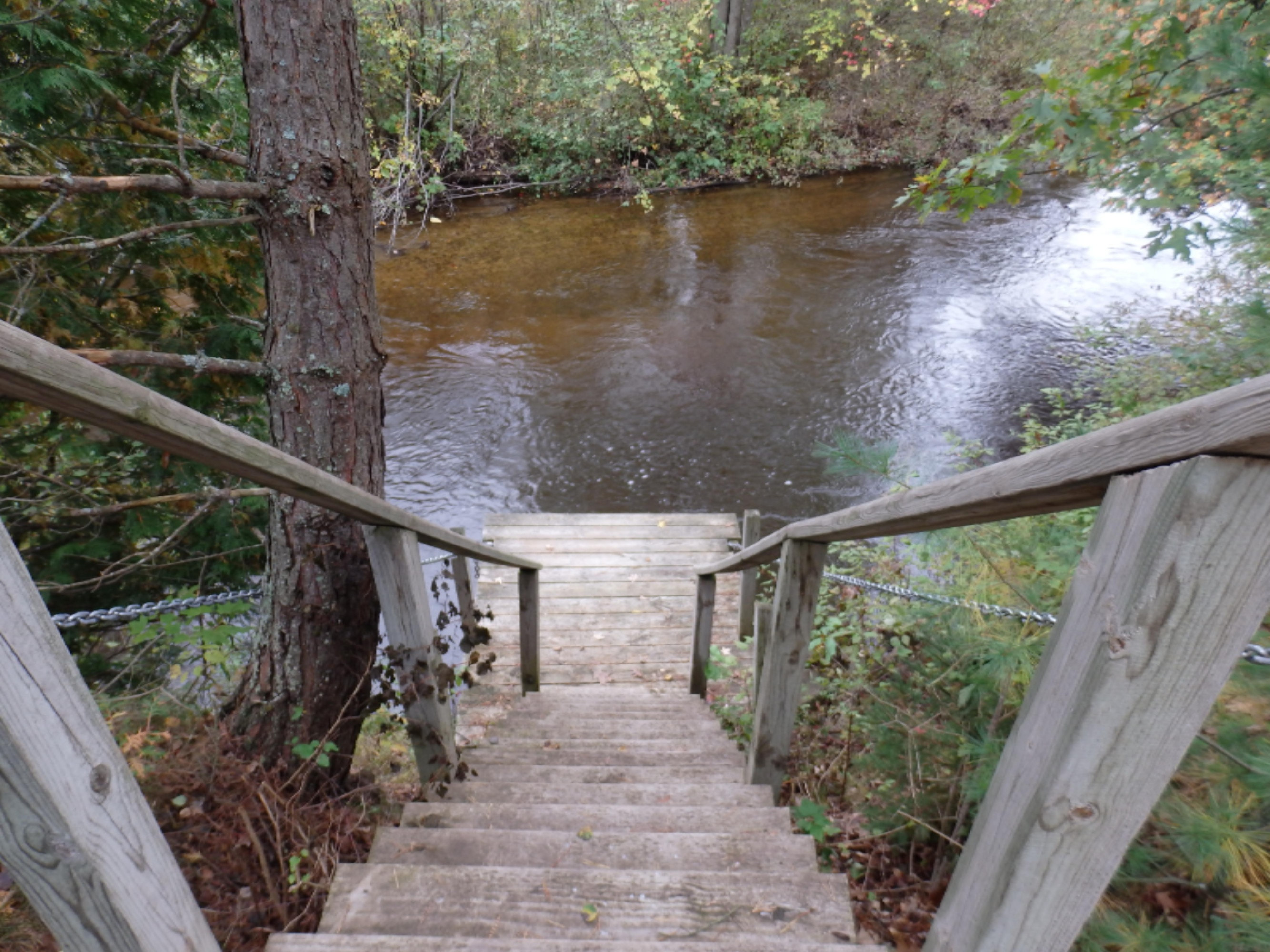 12600 Milks Road Kaleva, MI 49645 - Photo 54 of 65 steps and dock
