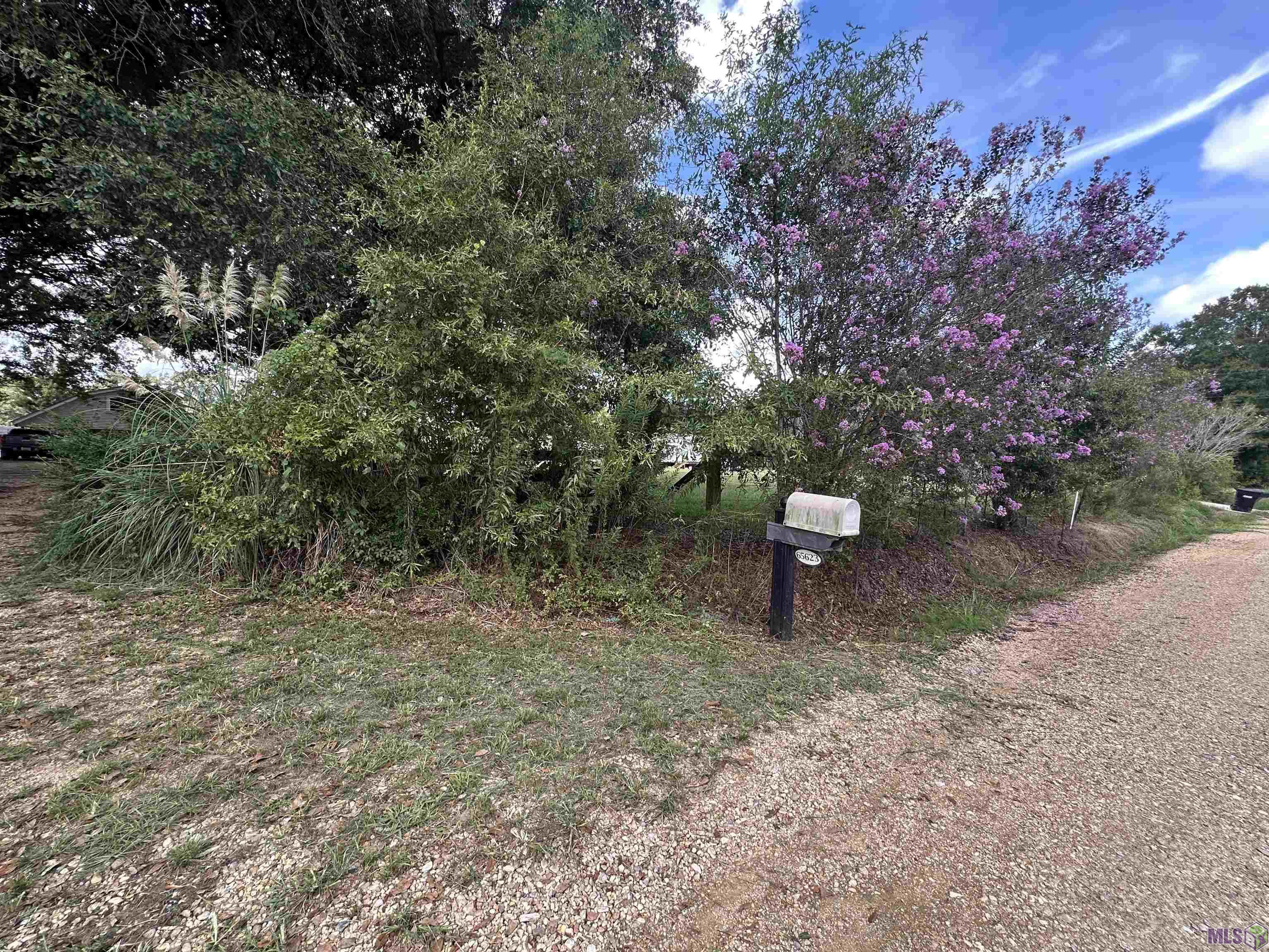 65623 Wilcox Road Kentwood, LA 70444 - Photo 43 of 43 Gallery Image 43