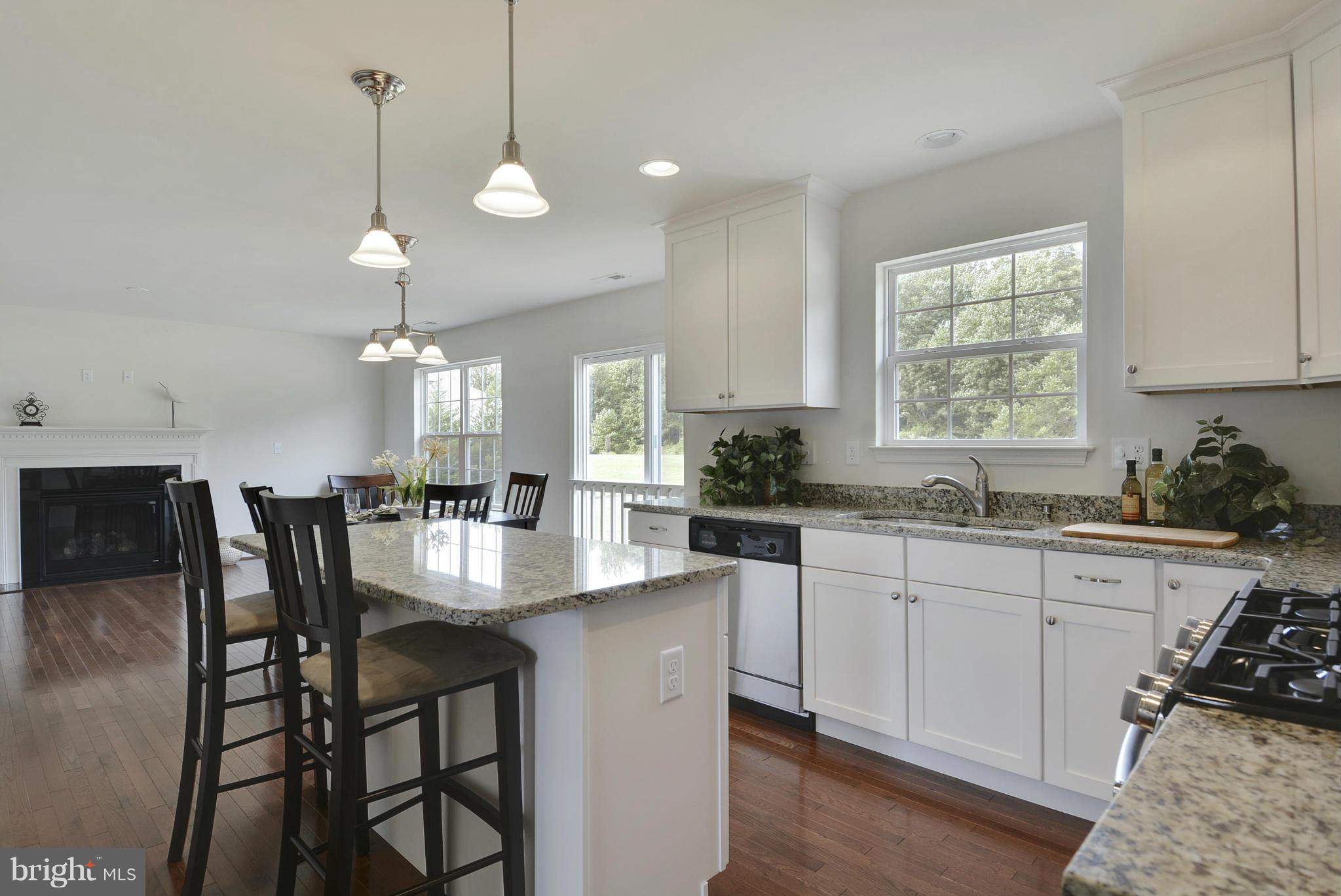 24656 Tribbett Circle Ridgely, MD 21660 - Photo 15 of 30 Kitchen