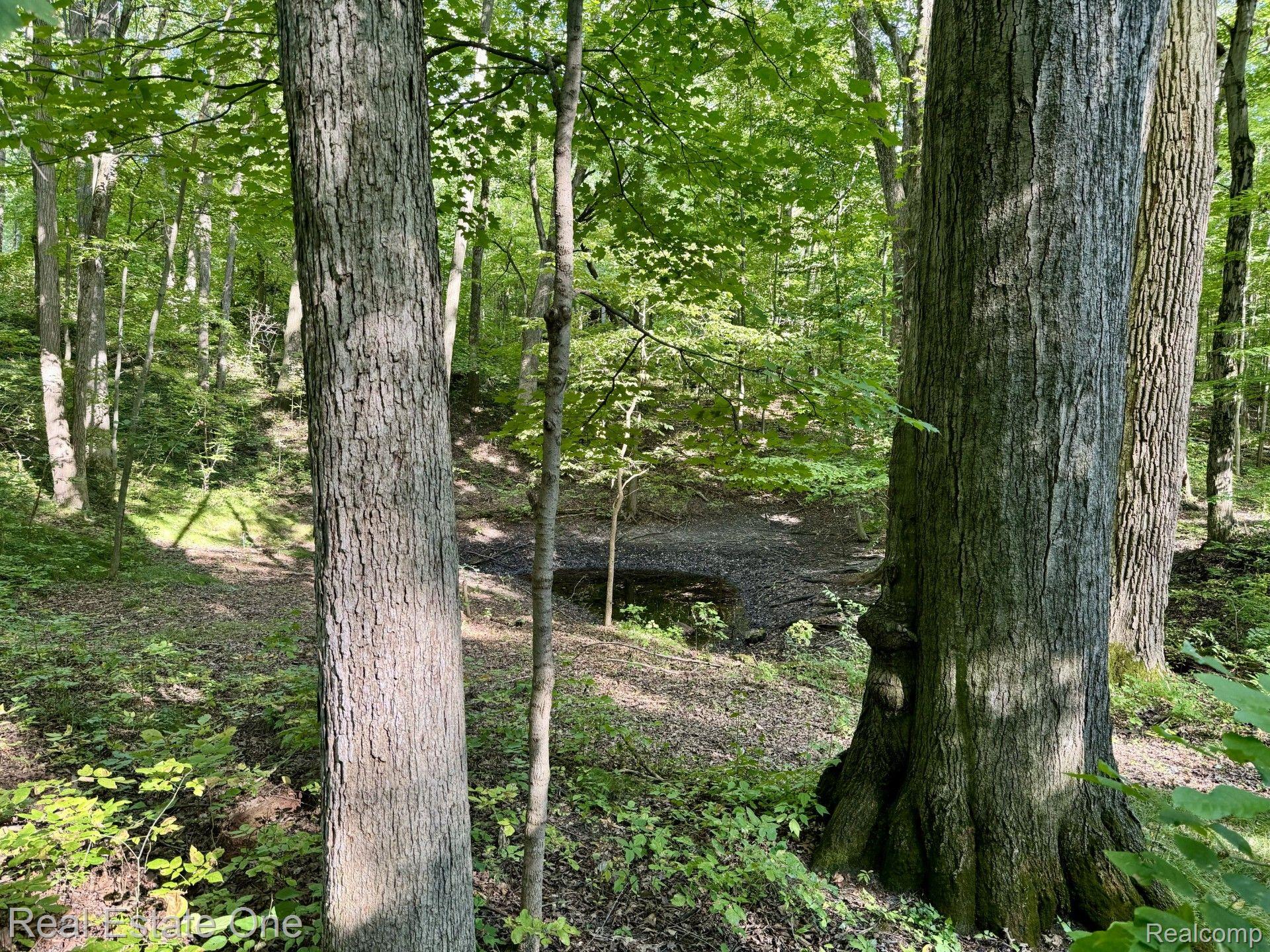 4694 Howell Road Otter Lake, MI 48464 - Photo 65 of 78 Gallery Image 65