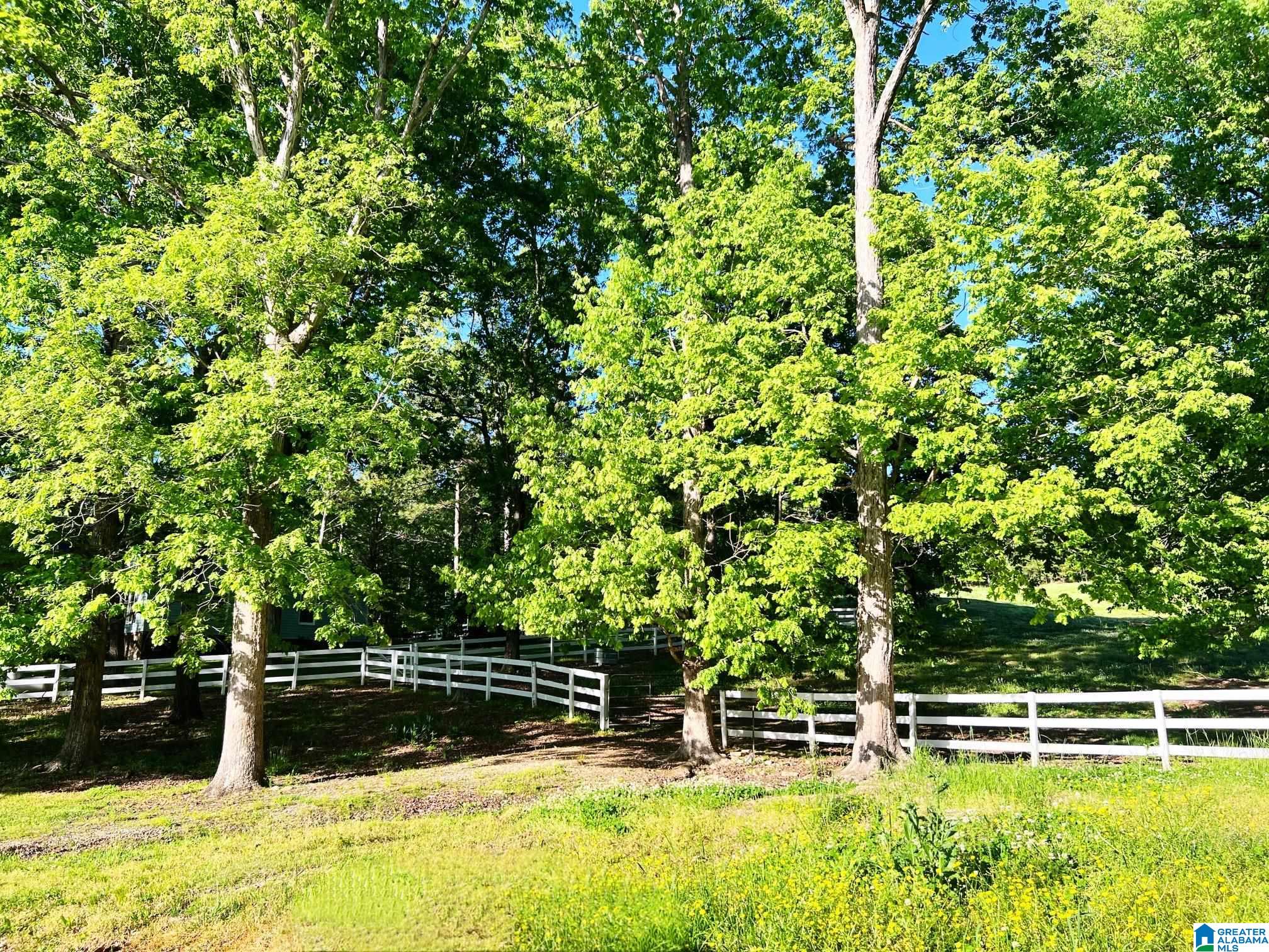 855 Oak Ridge Lane Piedmont, AL 36272 - Photo 43 of 50