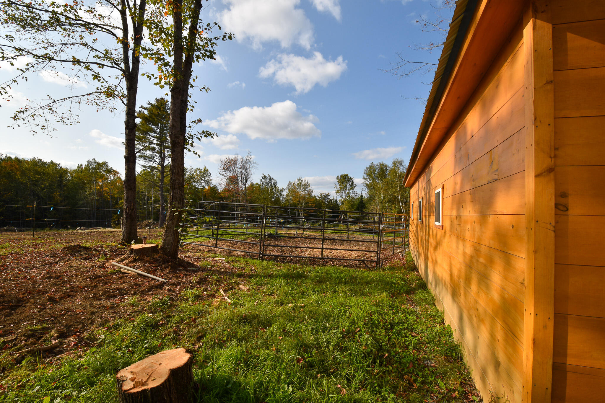 54 Carver Road Milo, ME 04463 - Photo 37 of 89 DSC_0113