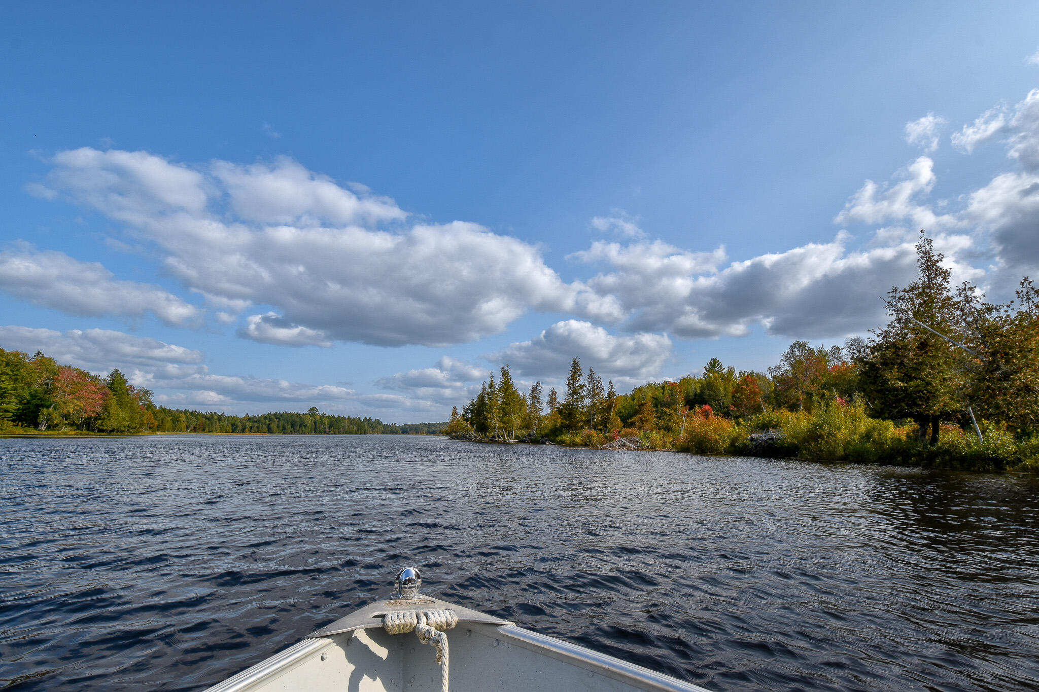 54 Carver Road Milo, ME 04463 - Photo 56 of 89 DSC_0053