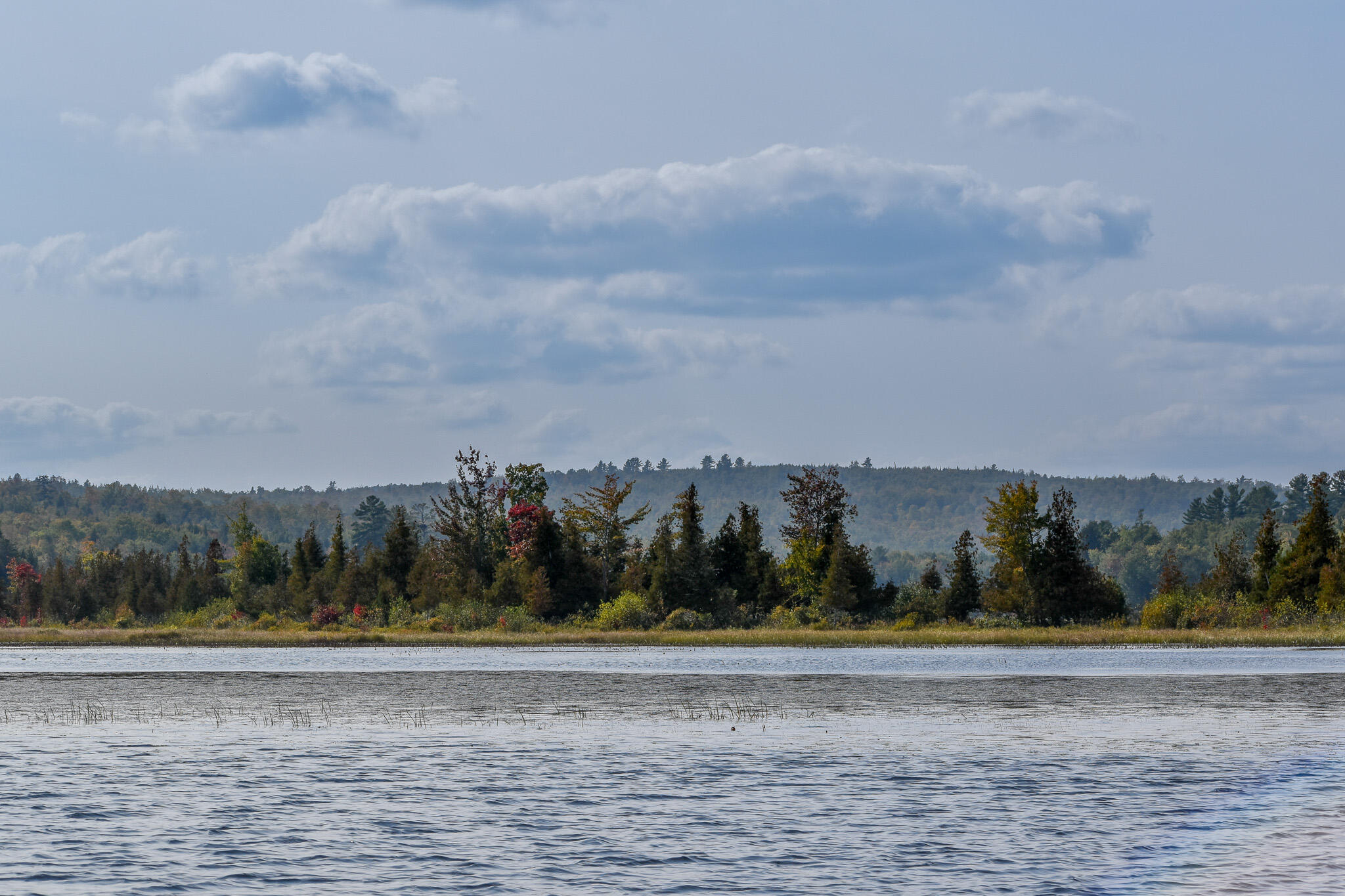 54 Carver Road Milo, ME 04463 - Photo 59 of 89 DSC_0004
