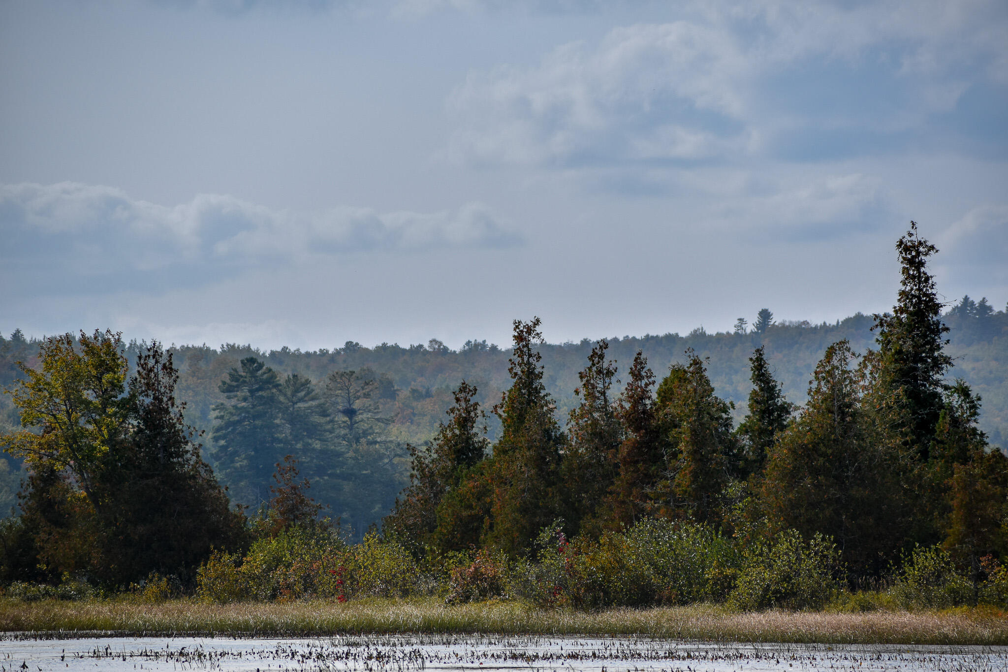 54 Carver Road Milo, ME 04463 - Photo 60 of 89 DSC_0005