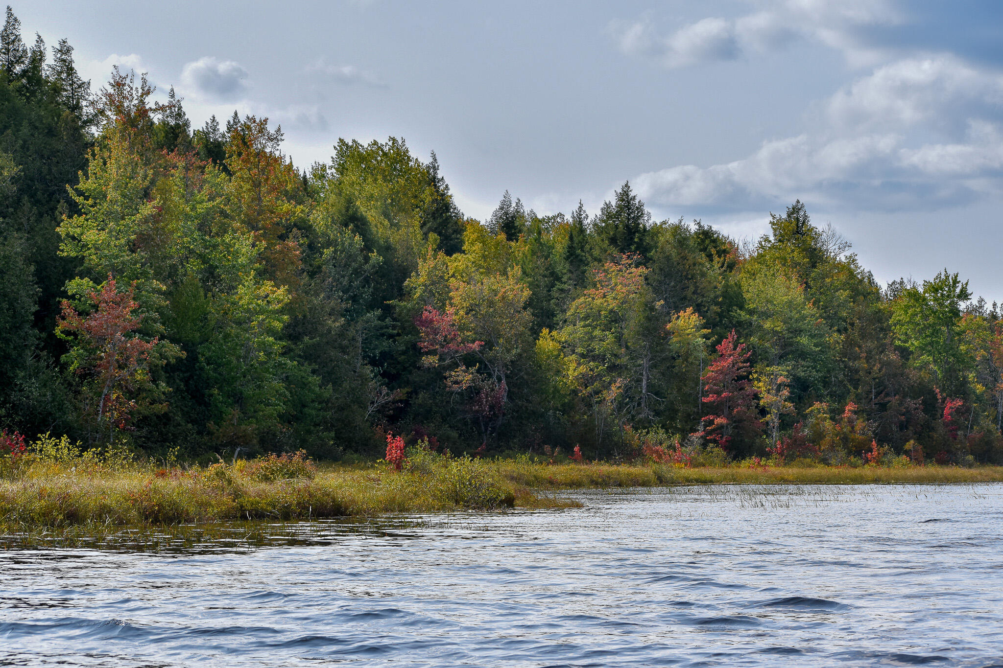 54 Carver Road Milo, ME 04463 - Photo 64 of 89 DSC_0022