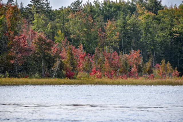 $1,495,000 | 54 Carver Road, Milo, ME 04463