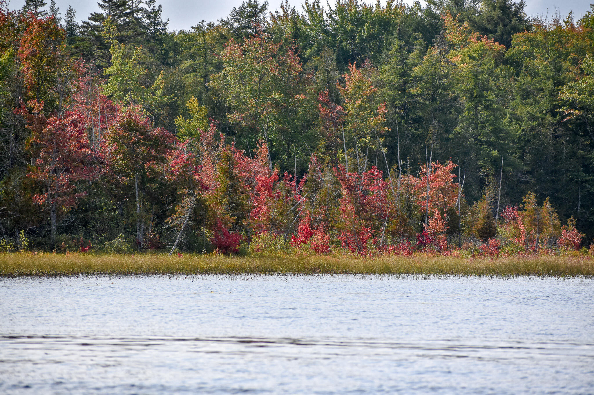54 Carver Road Milo, ME 04463 - Photo 65 of 89 DSC_0029