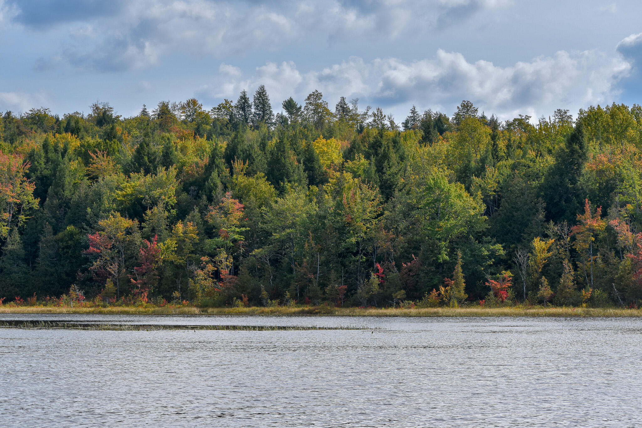 54 Carver Road Milo, ME 04463 - Photo 66 of 89 DSC_0034