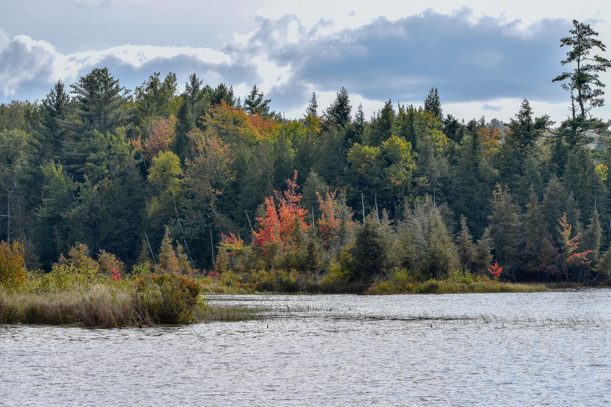 54 Carver Road Milo, ME 04463 - Photo 67 of 89 DSC_0040