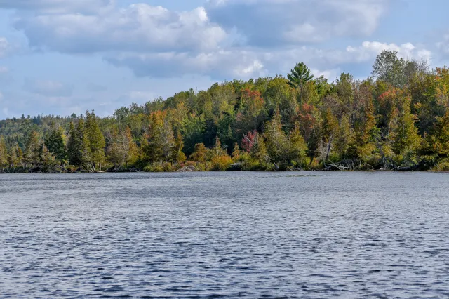 $1,495,000 | 54 Carver Road, Milo, ME 04463