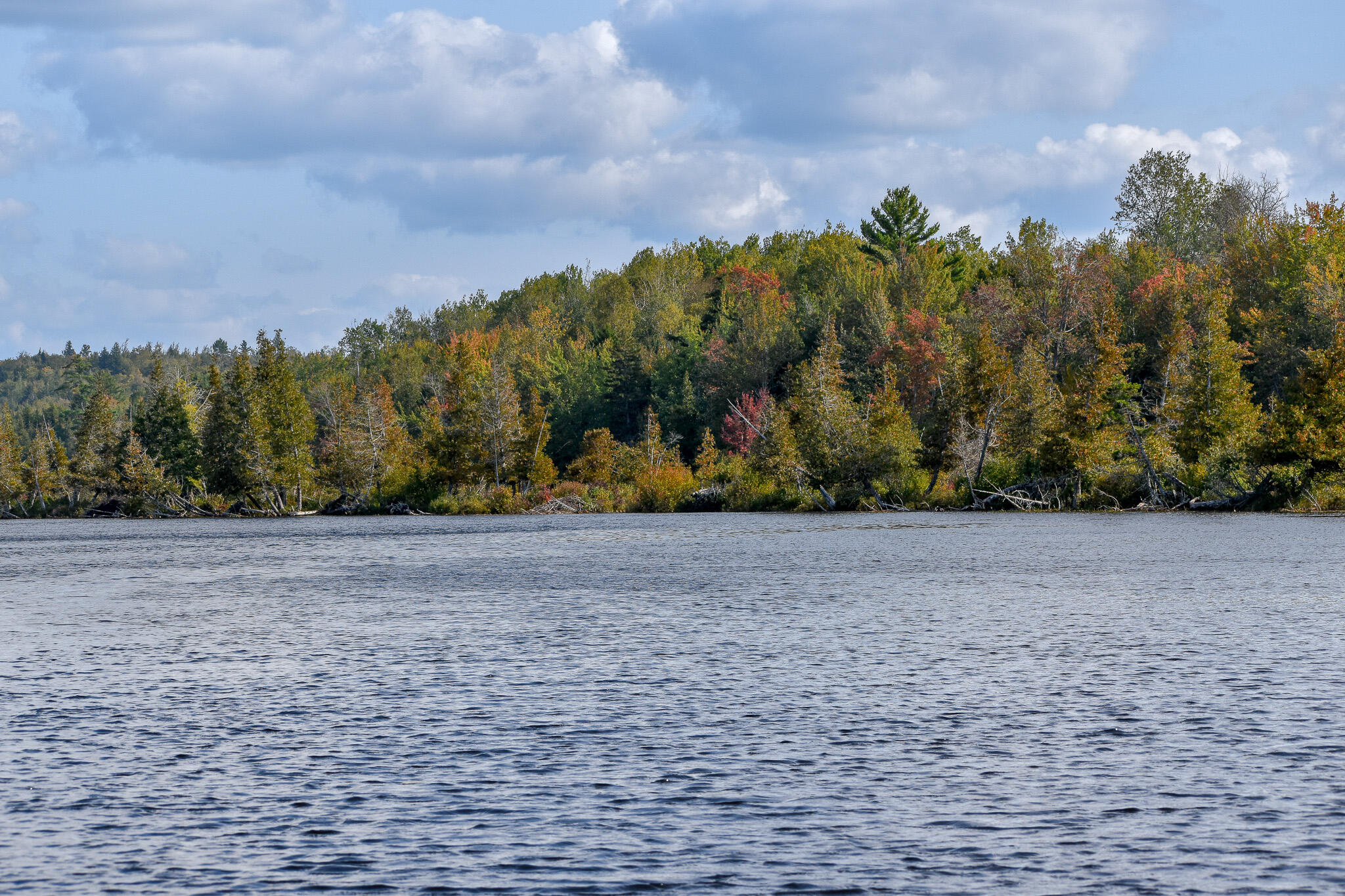 54 Carver Road Milo, ME 04463 - Photo 68 of 89 DSC_0050