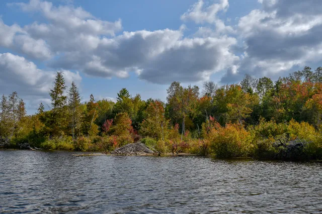 $1,495,000 | 54 Carver Road, Milo, ME 04463