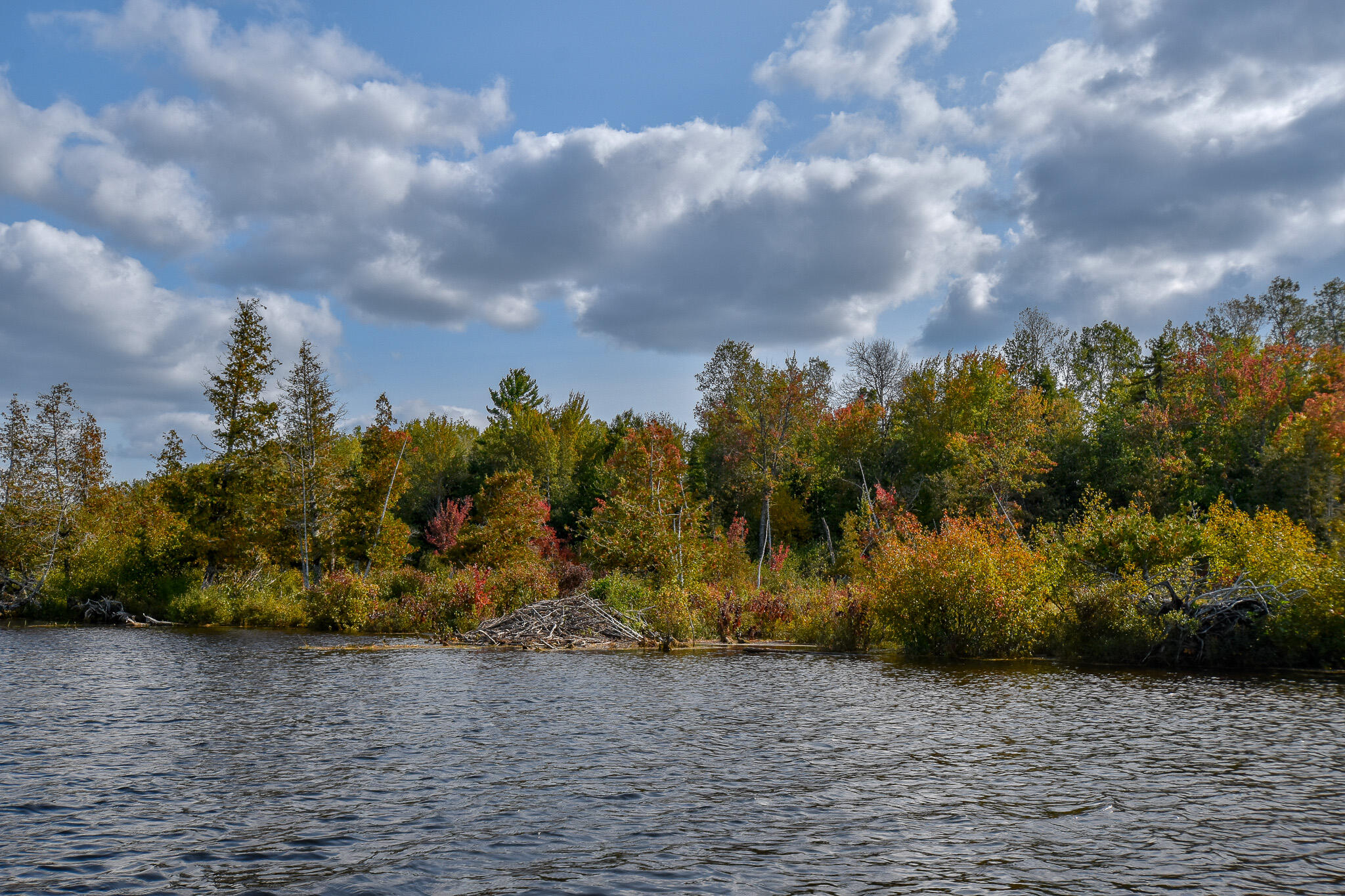 54 Carver Road Milo, ME 04463 - Photo 70 of 89 DSC_0055