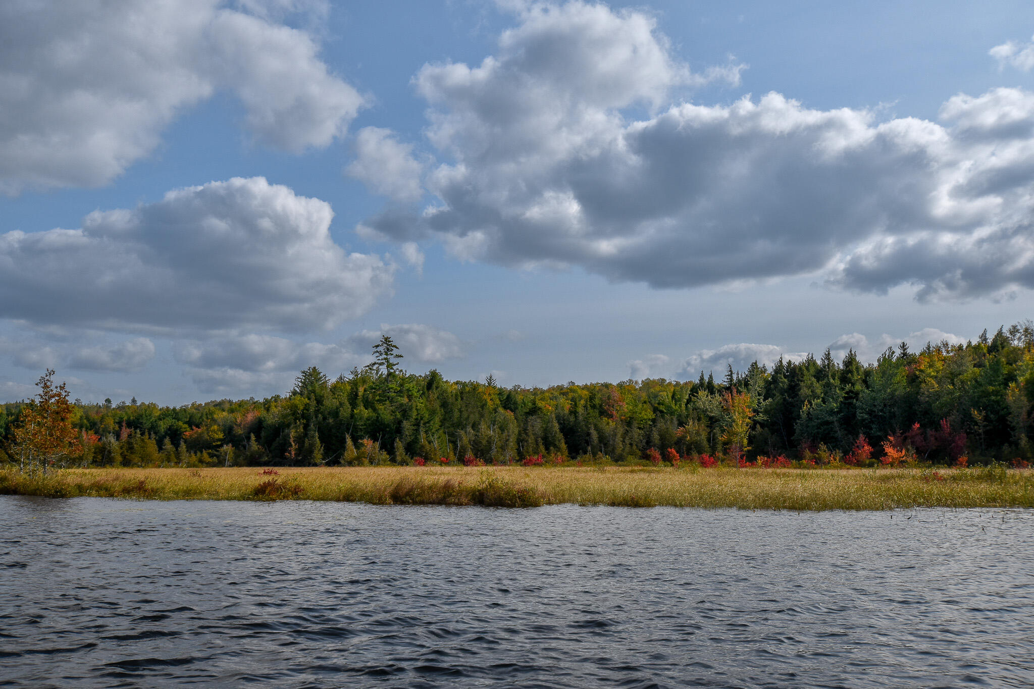54 Carver Road Milo, ME 04463 - Photo 72 of 89 DSC_0062