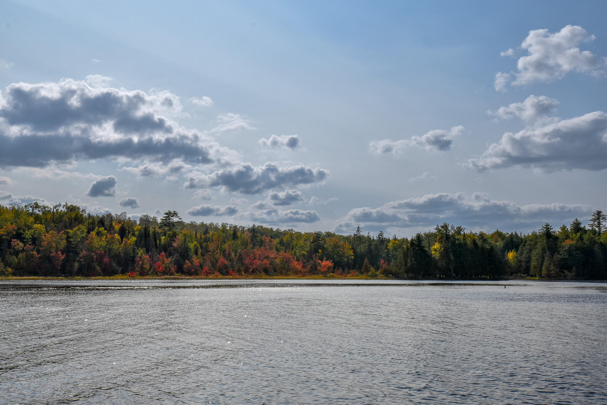 54 Carver Road Milo, ME 04463 - Photo 74 of 89 DSC_0066