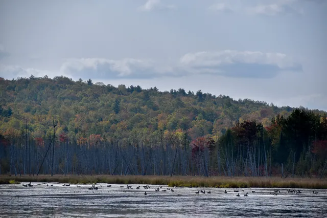 $1,495,000 | 54 Carver Road, Milo, ME 04463