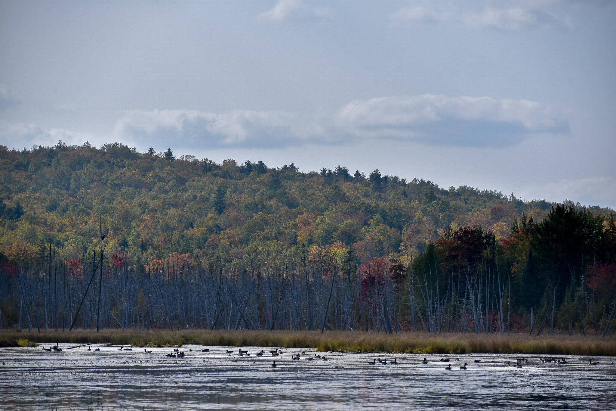 54 Carver Road Milo, ME 04463 - Photo 76 of 89 DSC_0076